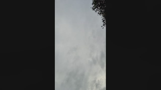Doperman  25-05-2022